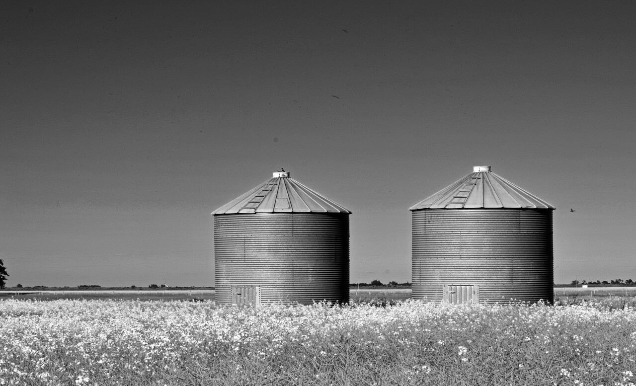 Silos na zboże – nowoczesne rozwiązanie dla rolnictwa
